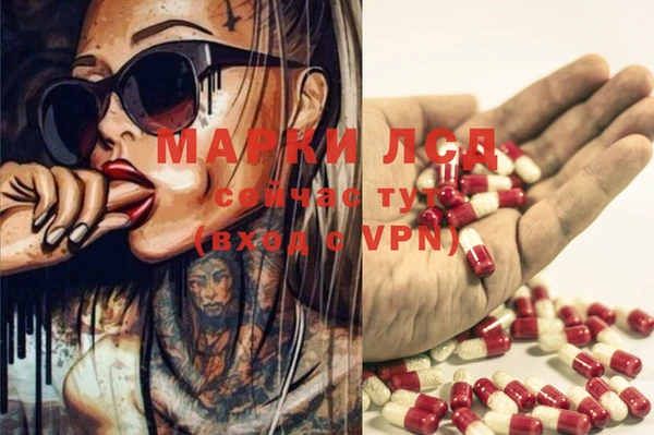 ECSTASY Вязники