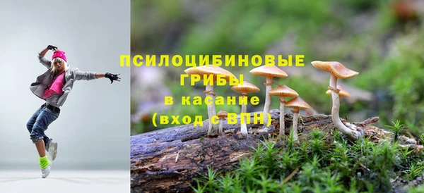 дживик Алексин