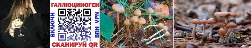 цена   Набережные Челны  kraken как зайти  Галлюциногенные грибы Psilocybe 